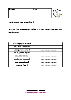 ce1-francais-feminin-adjectif3