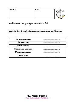 ce1-francais-feminin-groupe-nominal2