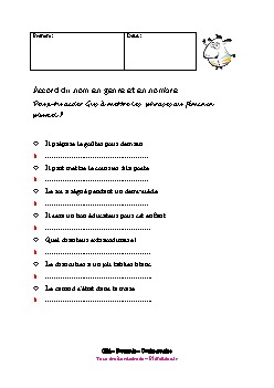 ce1-francais-orthographe-accord-nom-genre-nombre-2
