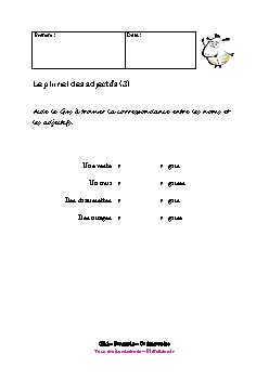 ce1-francais-pluriel-adjectif3