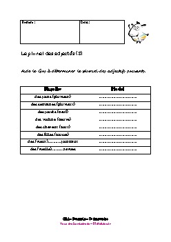 ce1-francais-pluriel-adjectifs2