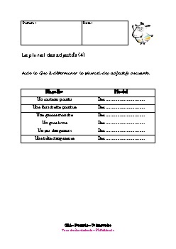 ce1-francais-pluriel-adjectifs4