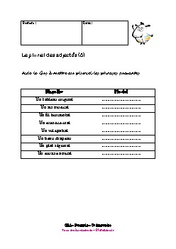 ce1-francais-pluriel-adjectifs5