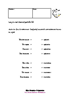 ce1-francais-pluriel-adjectifs6