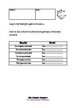ce1-francais-pluriel-groupes-nominaux