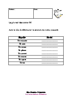ce1-francais-pluriel-noms4