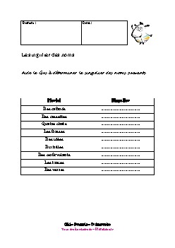 ce1-francais-singulier-noms