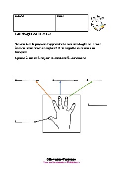 ce2-anglais-vocabulaire-doigts-main-1