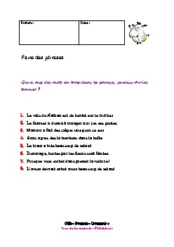 ce2-francais-accord-faire-des-phrases-3