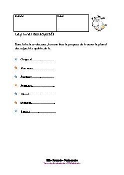 ce2-francais-orthographe-pluriel-adjectifs-2