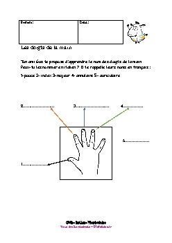 cm2-italien-vocabulaire-doigts-main-1